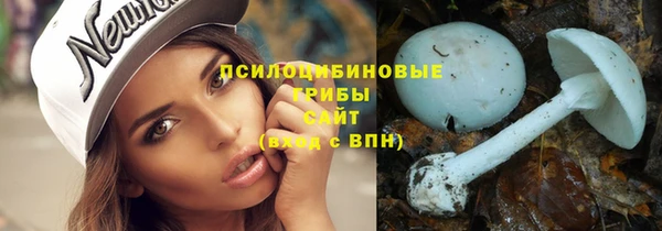 СК Дмитриев
