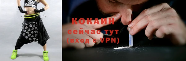 СК Дмитриев