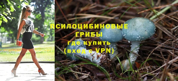 ешки Дмитров